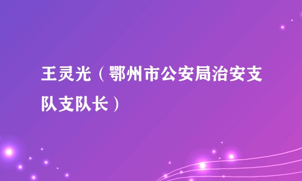 王灵光（鄂州市公安局治安支队支队长）