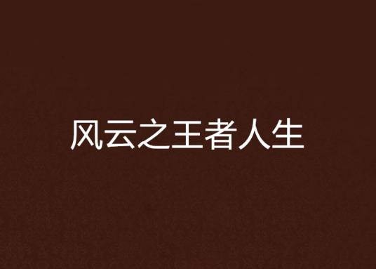 风云之王者人生