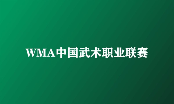 WMA中国武术职业联赛