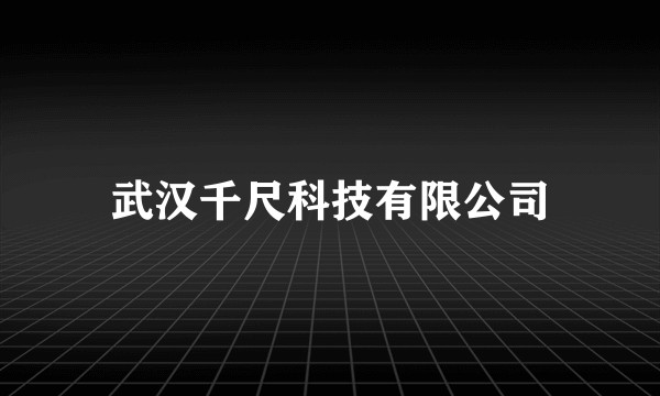武汉千尺科技有限公司