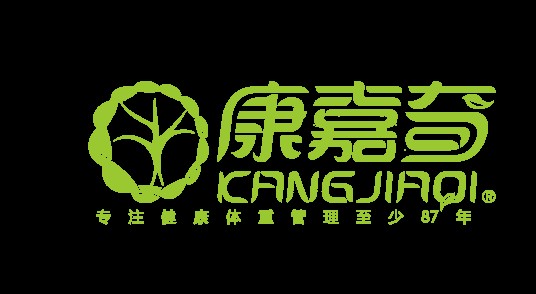 康嘉奇