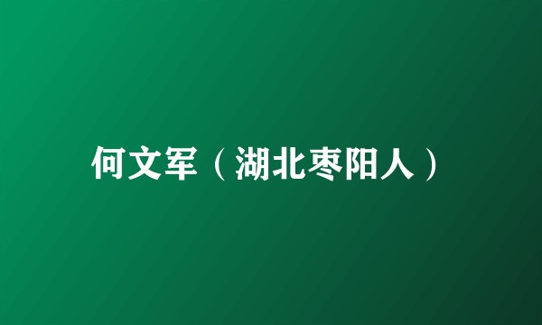 何文军（湖北枣阳人）