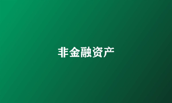 非金融资产