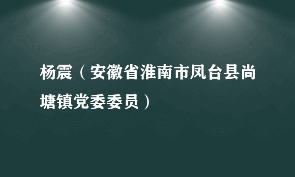 杨震（安徽省淮南市凤台县尚塘镇党委委员）