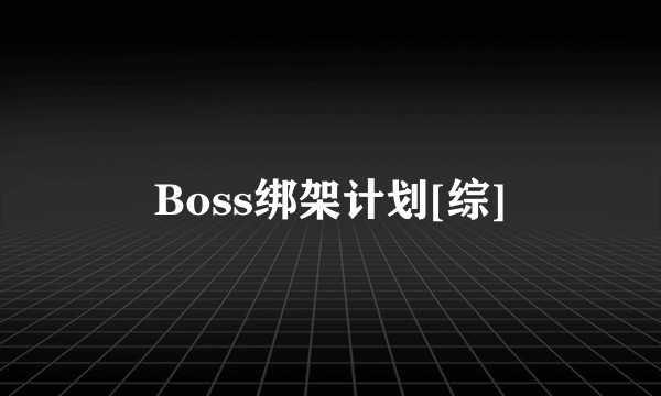 Boss绑架计划[综]