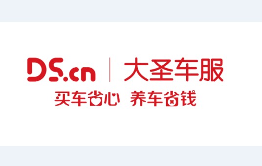大圣科技股份有限公司