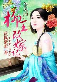 争凤局：柳王改嫁记