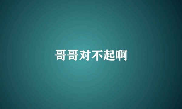 哥哥对不起啊
