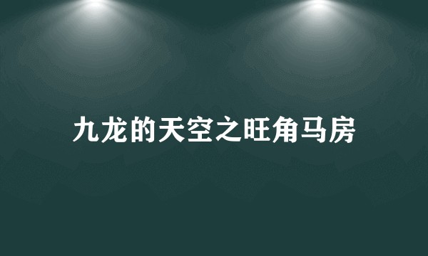 九龙的天空之旺角马房