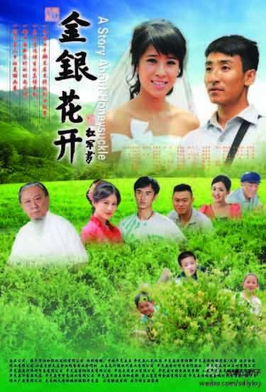 金银花开(中国大陆2012年凌翔执导的剧情片)