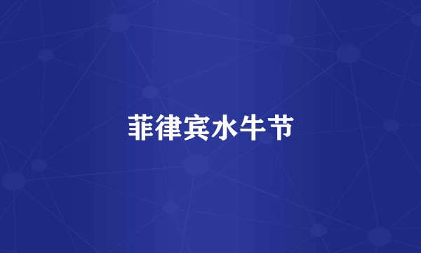 菲律宾水牛节