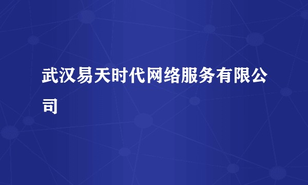 武汉易天时代网络服务有限公司