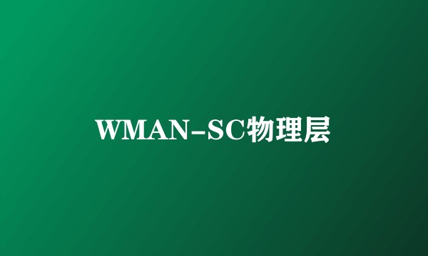 WMAN-SC物理层