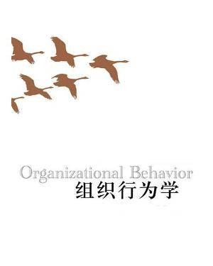 组织行为学(2005年对外经济贸易大学出版社出版的图书)