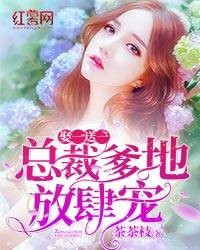 娶一送一：总裁爹地放肆宠
