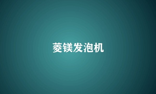 菱镁发泡机