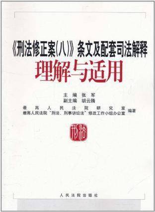 《刑法修正案(八)》条文及配套司法解释理解与适用