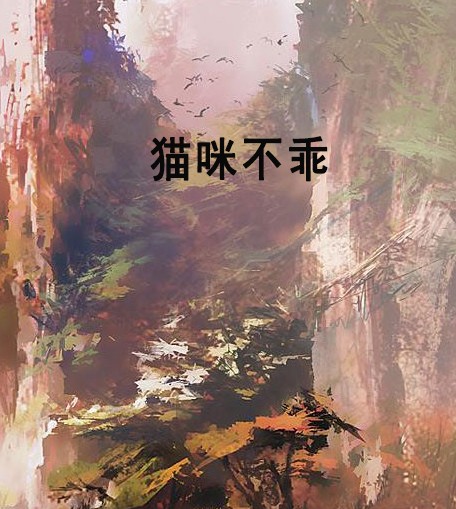 猫咪不乖