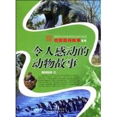 令人感动的动物故事