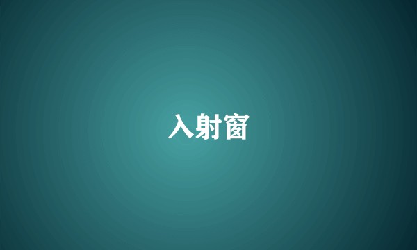 入射窗