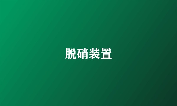 脱硝装置