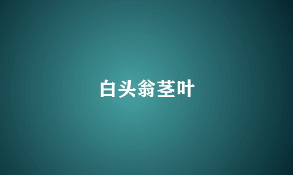 白头翁茎叶