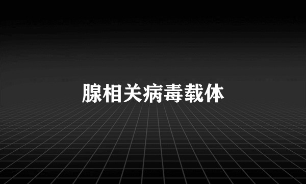 腺相关病毒载体