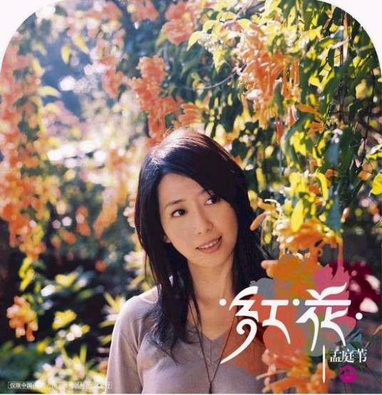 冬季到台北来看雨(孟庭苇2005年重新改编录制的歌曲)