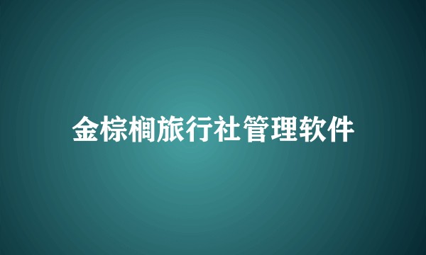 金棕榈旅行社管理软件