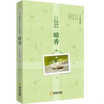 暗香（韩政创作的小说）