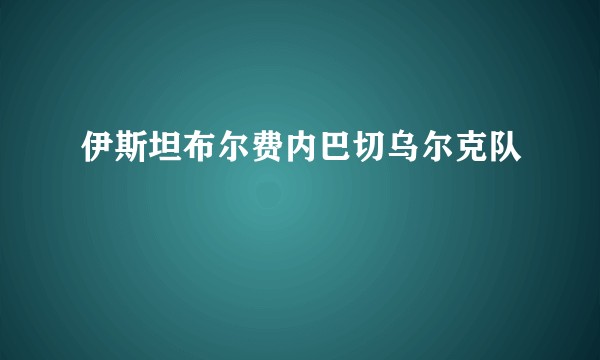 伊斯坦布尔费内巴切乌尔克队