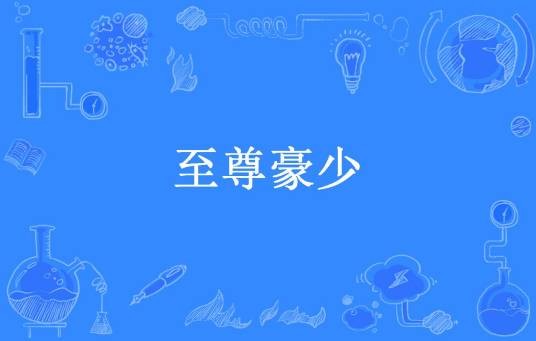 至尊豪少