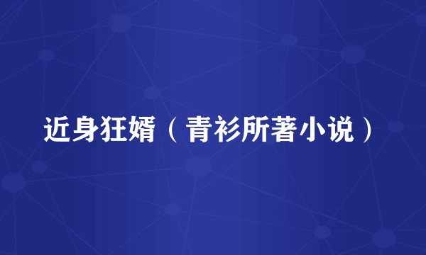 近身狂婿（青衫所著小说）