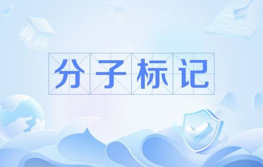分子标记