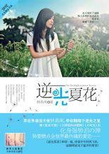 逆光夏花