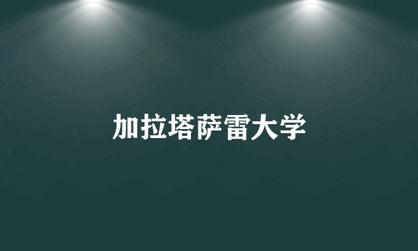 加拉塔萨雷大学