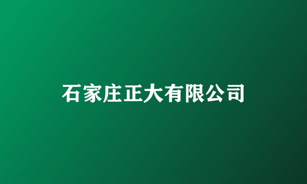 石家庄正大有限公司