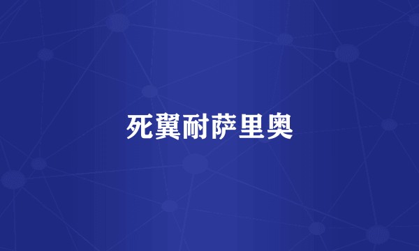死翼耐萨里奥