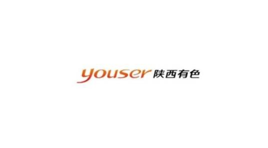 陕西有色金属控股集团有限责任公司
