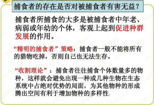 收割理论