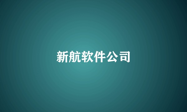 新航软件公司