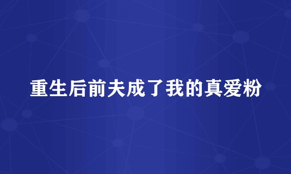 重生后前夫成了我的真爱粉