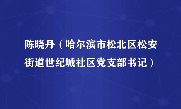 陈晓丹（哈尔滨市松北区松安街道世纪城社区党支部书记）