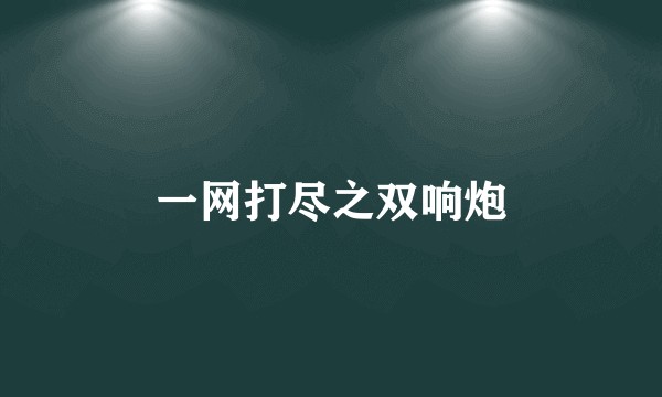 一网打尽之双响炮