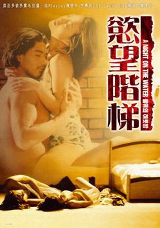 欲望阶梯（2009年中国人民公安大学出版社出版的图书）