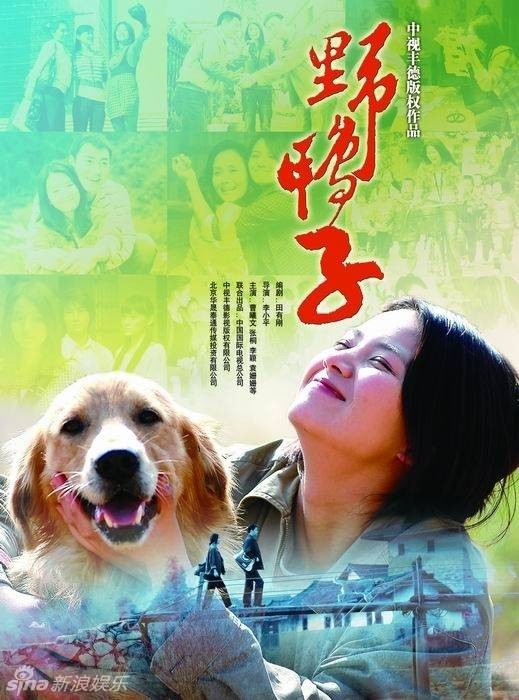 野鸭子（2011年李小平执导的家庭爱情电视剧）