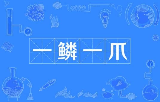 一鳞一爪