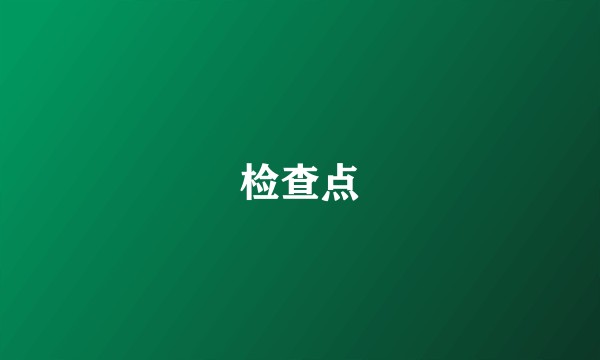 检查点