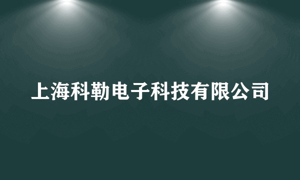 上海科勒电子科技有限公司
