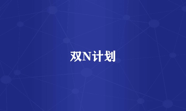 双N计划